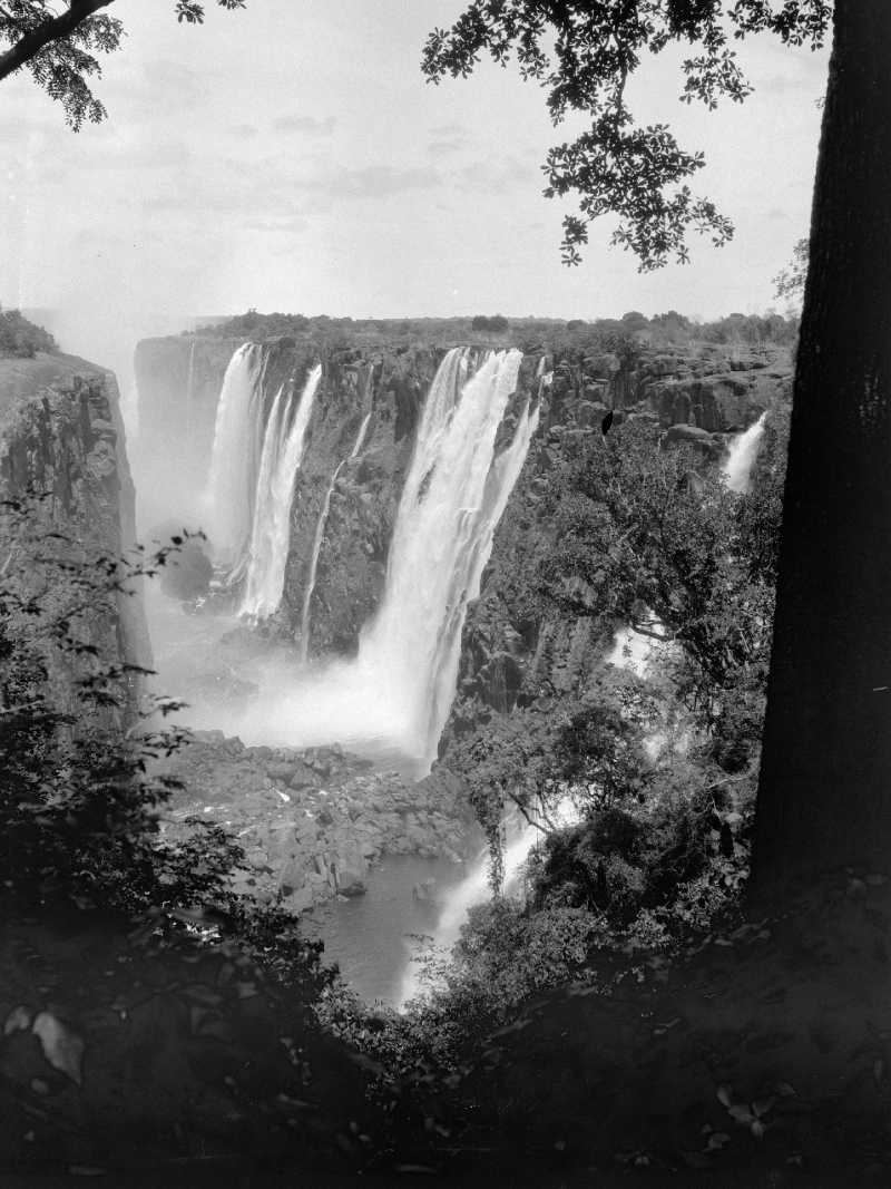 コラボレーションの素晴らしい力